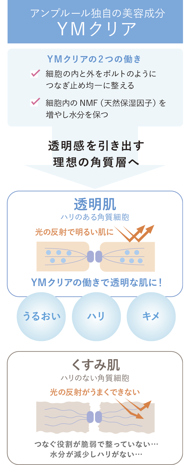 アンプルール独自の美容成分「YMクリア」