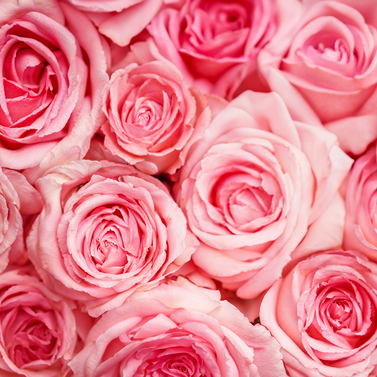 心華やぐラグジュアリーローズの香り