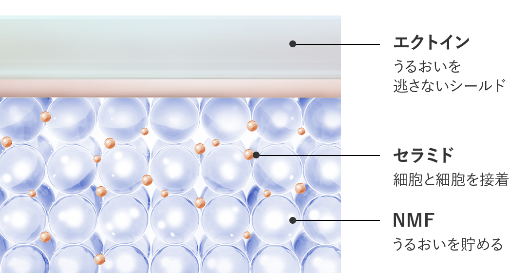 モイストロック処方