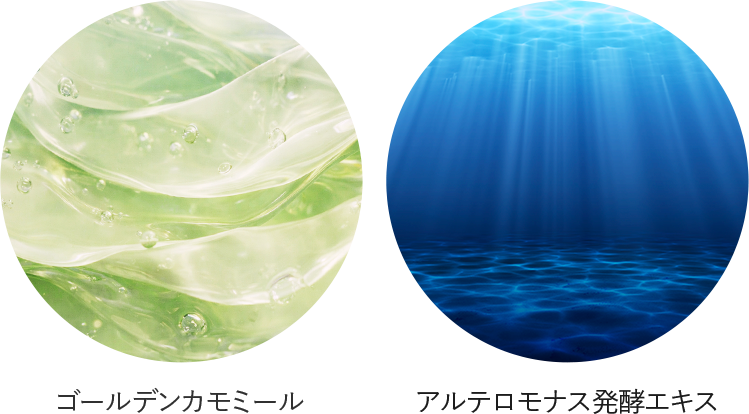 ゴールデンカモミール/アルテロモナス発酵エキス