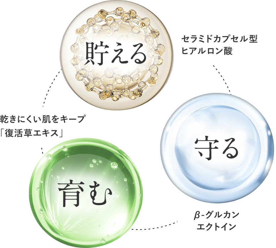 貯える・守る・育む処方