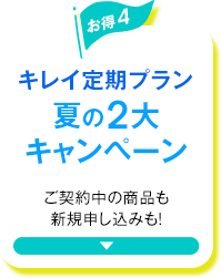 キレイ定期プラン