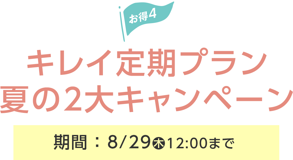 キレイ定期プラン