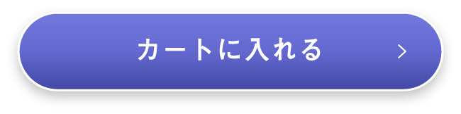通常価格　9,900円（税込）