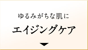 ハリケア