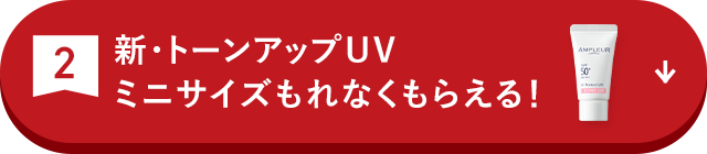 人気美容液が今だけ増量！