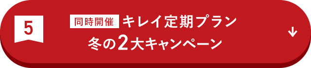 キレイ定期プラン冬の2大キャンペーン