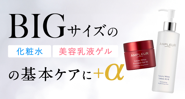 BIGサイズの基本ケアに+a