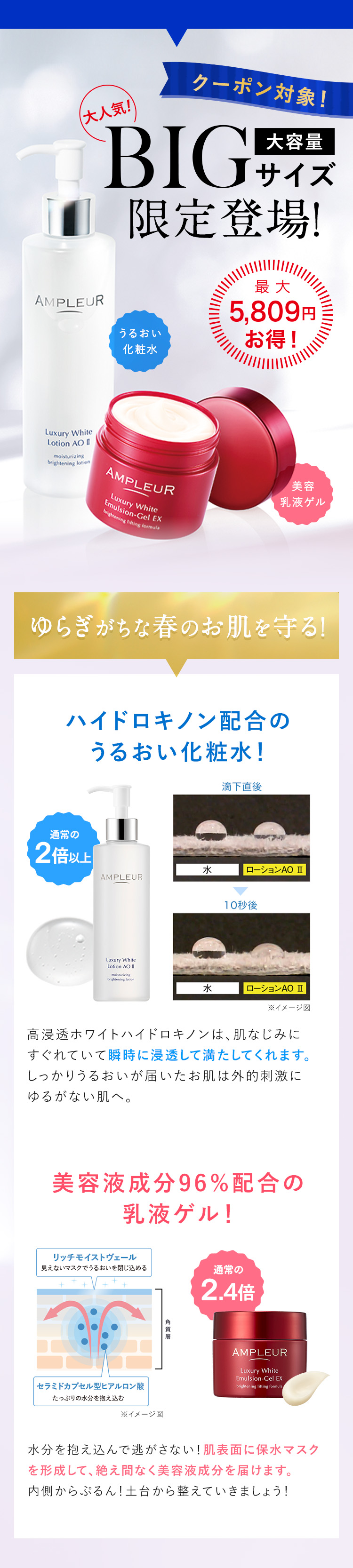 BIGサイズ限定登場