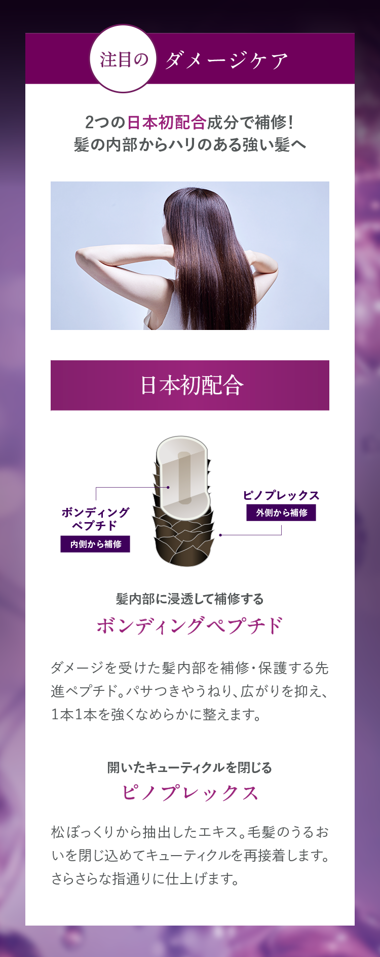 髪の補修成分：日本初配合「ボンディングペプチド、ピノプレックス」