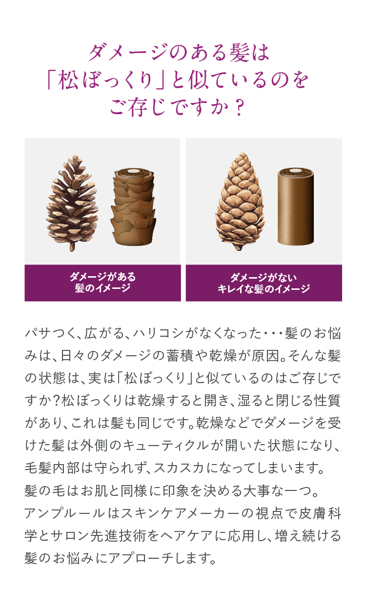 ダメージのある髪は「松ぼっくり」と似ているのをご存知ですか？