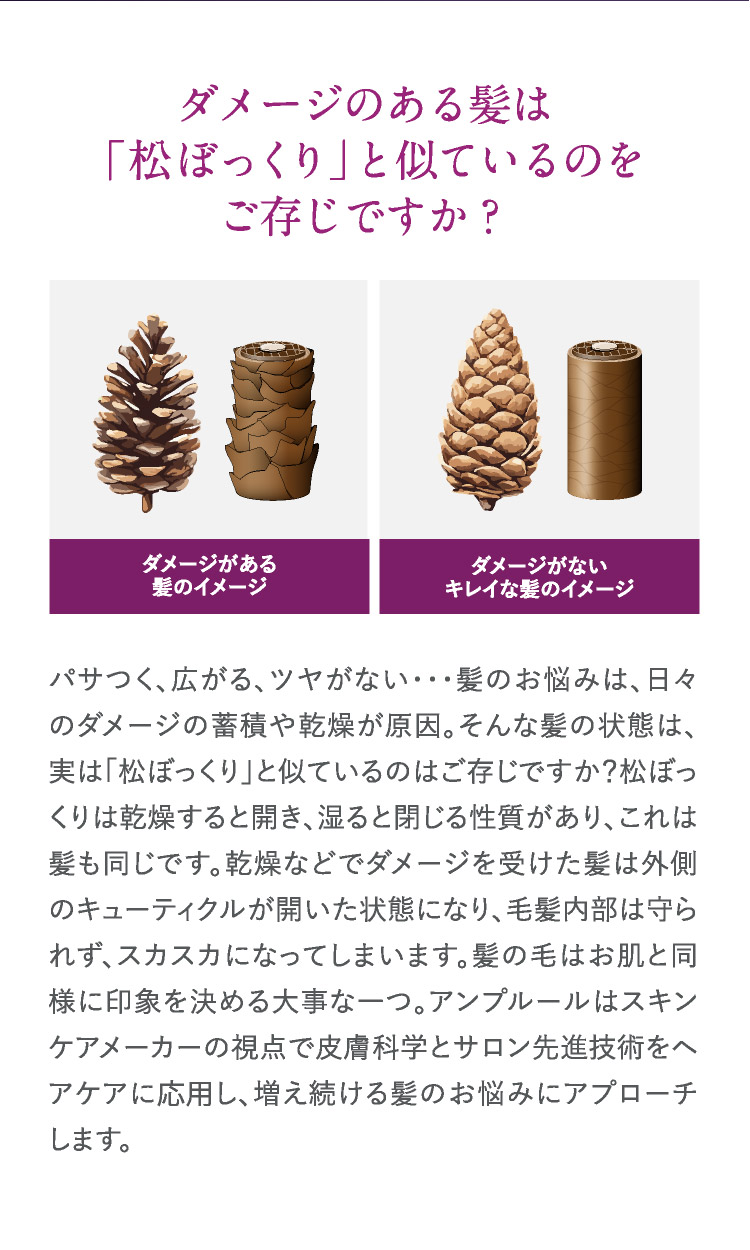 ダメージのある髪は「松ぼっくり」と似ているのをご存知ですか？