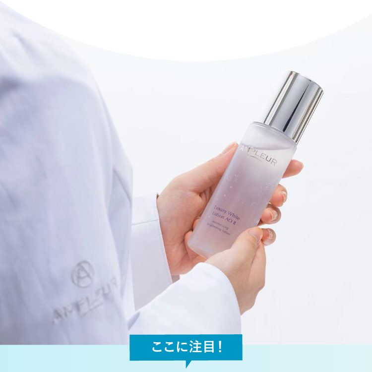 ここに注目！開発担当者の想い