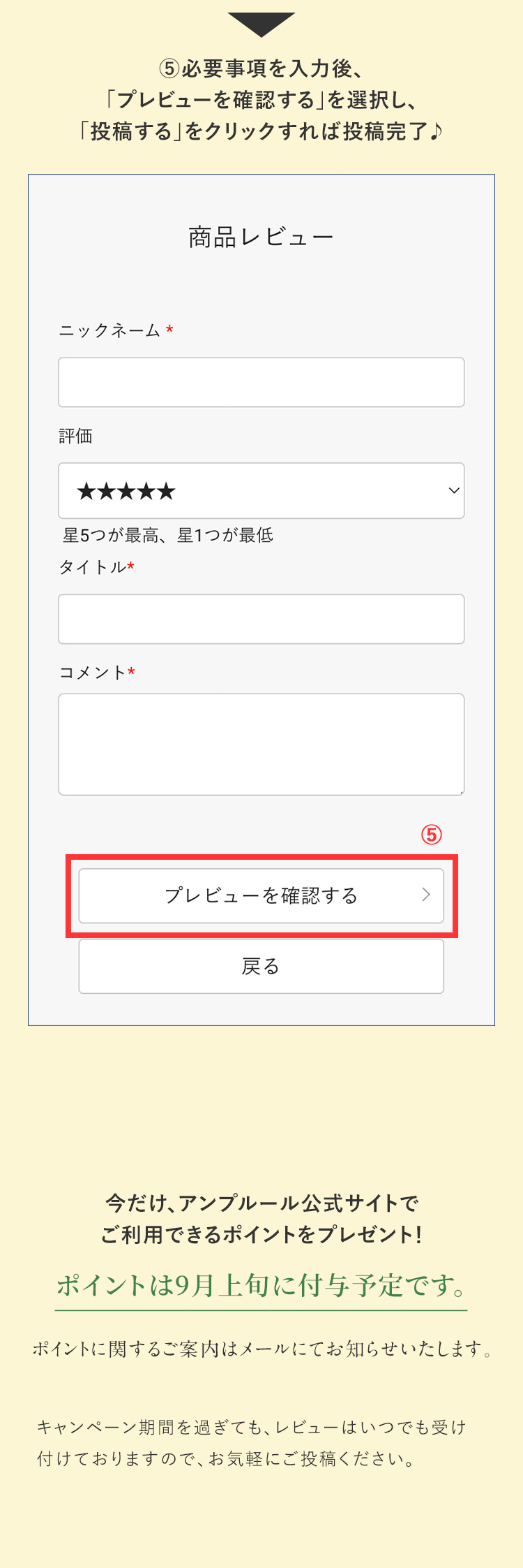 必要事項を入力後プレビューを確認する