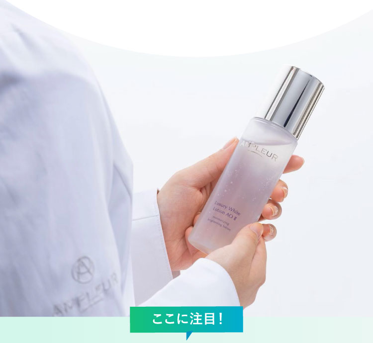 ここに注目！開発担当者の想い