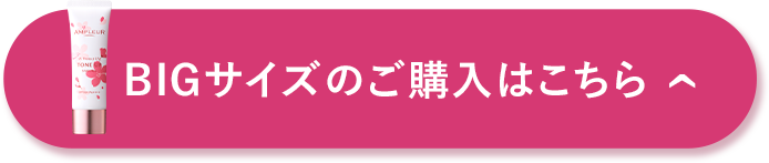 BIGサイズのご購入はこちら