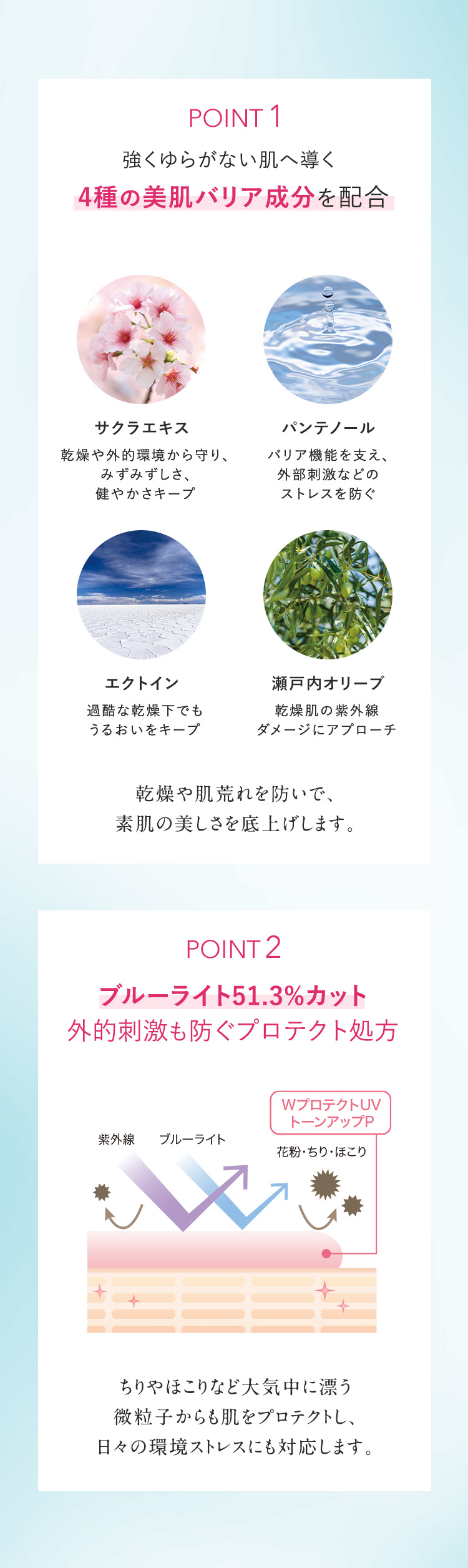 リニューアルポイント