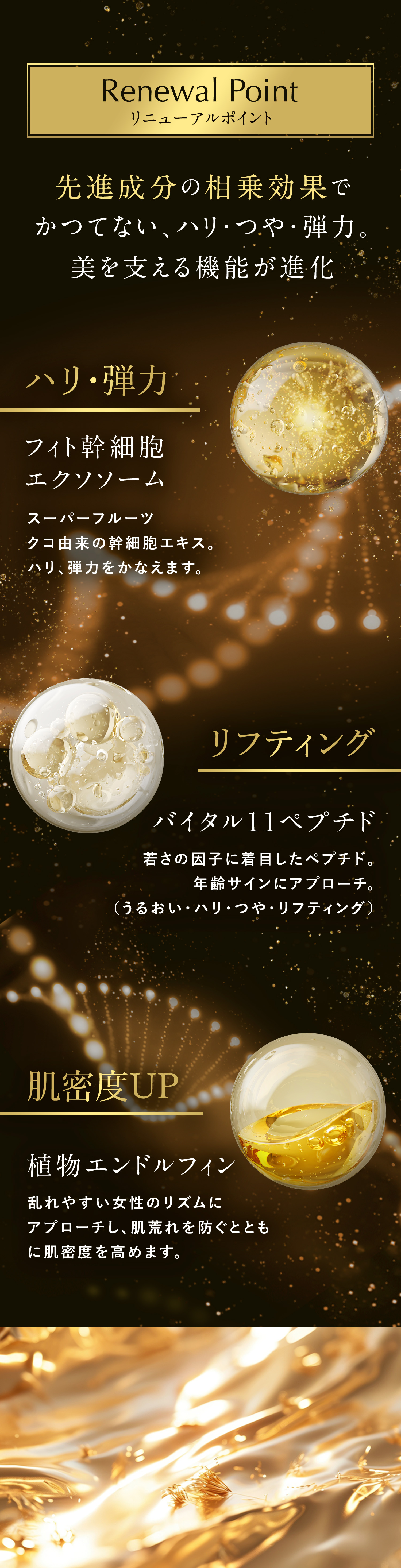 リニューアルポイント