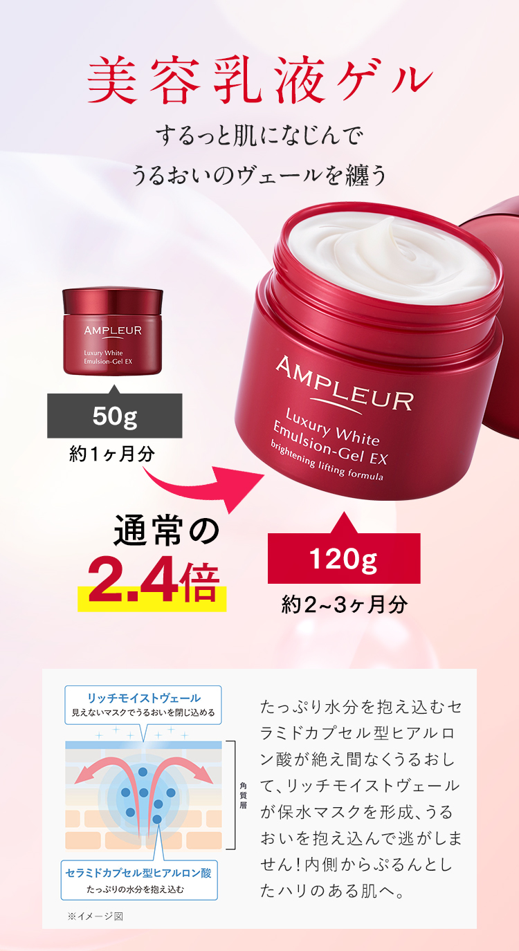 これが​今年最後の​！BIGサイズ限定登場！