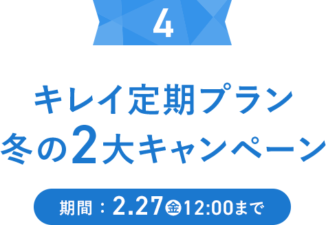 キレイ定期プラン 冬の2大キャンペーン