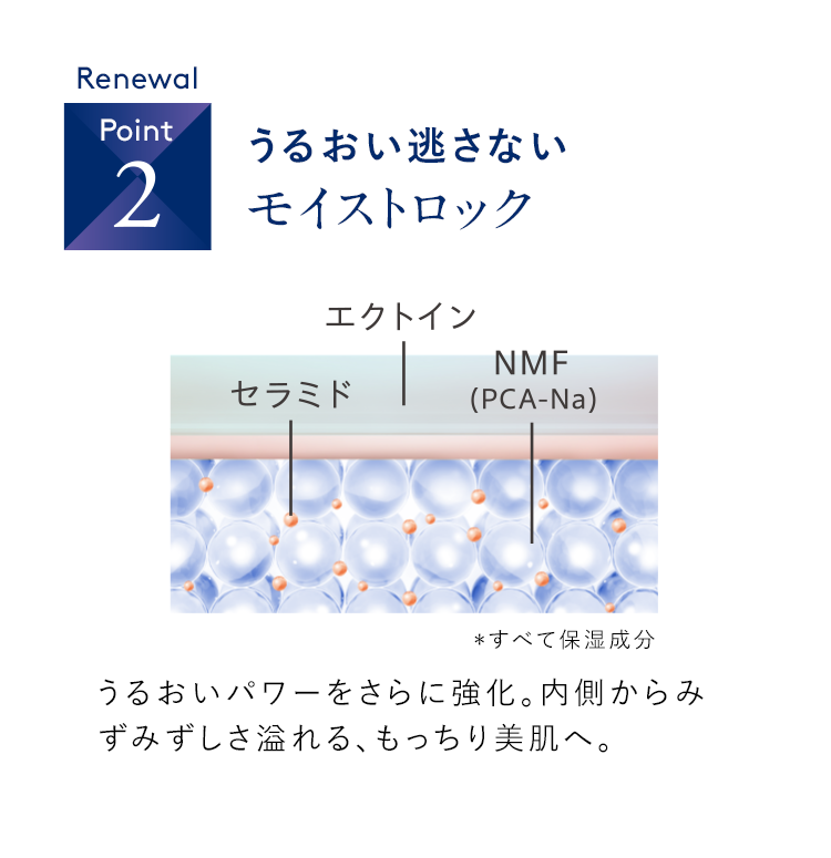 Point02 うるおい逃さないモイストロック