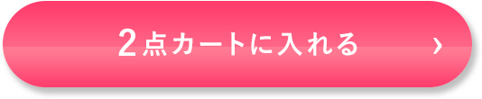 2点カートに入れる
