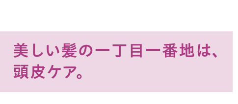 美しい神の一丁目一番地は、頭皮ケア。