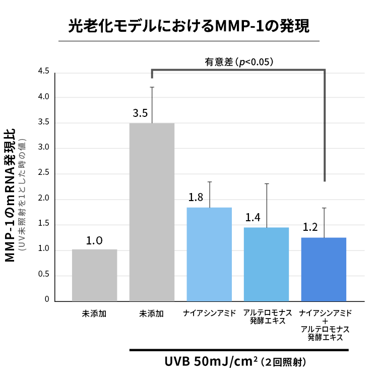 図：光老化モデルにおけるMMP-1の発現